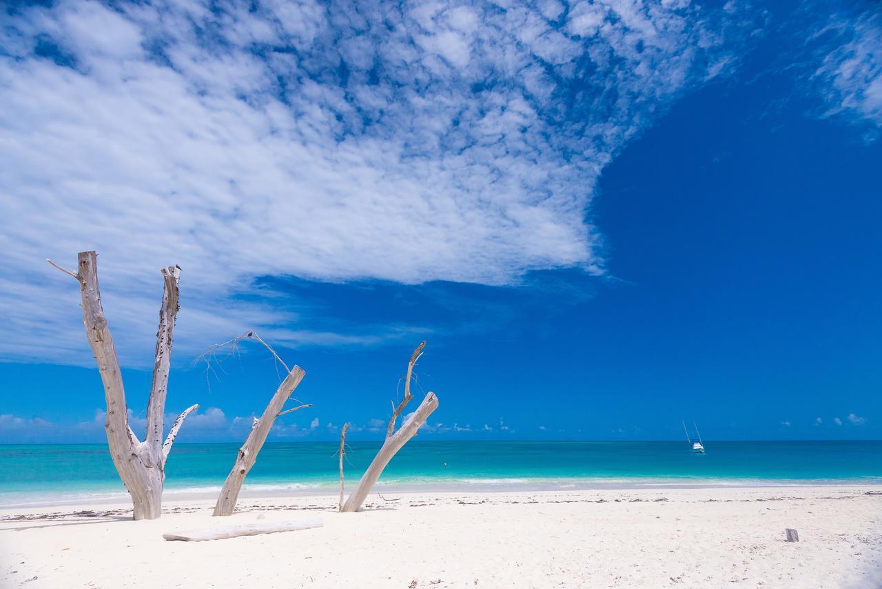 Denis Private Island Seychelles Ξενοδοχείο Denis Island Εξωτερικό φωτογραφία